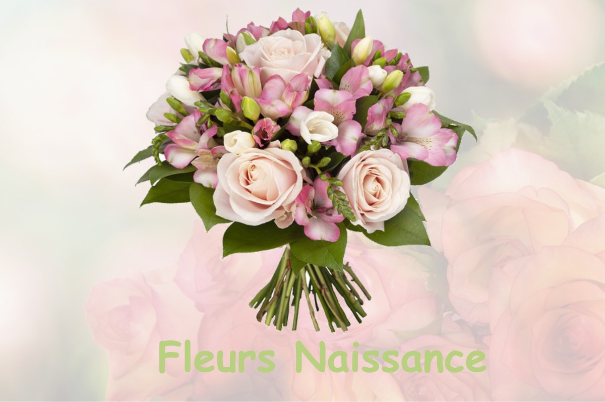 fleurs naissance LA-JONCHERE-SAINT-MAURICE
